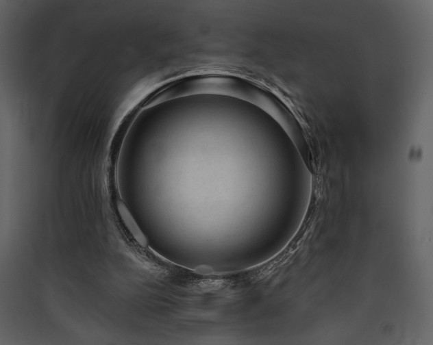 X0000090420152200707131216