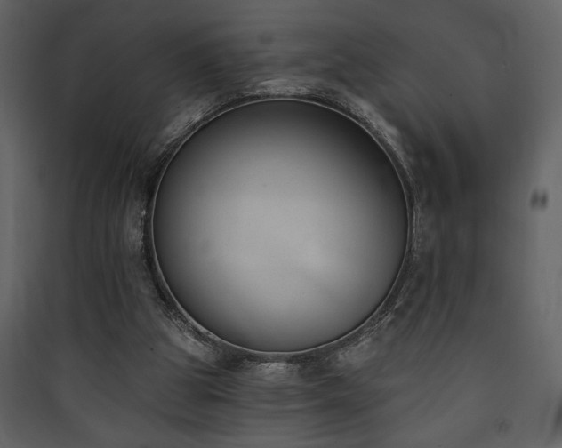 X0000090420153200707131216