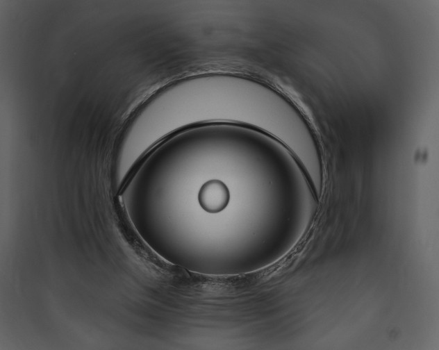 X0000090420154200707131216