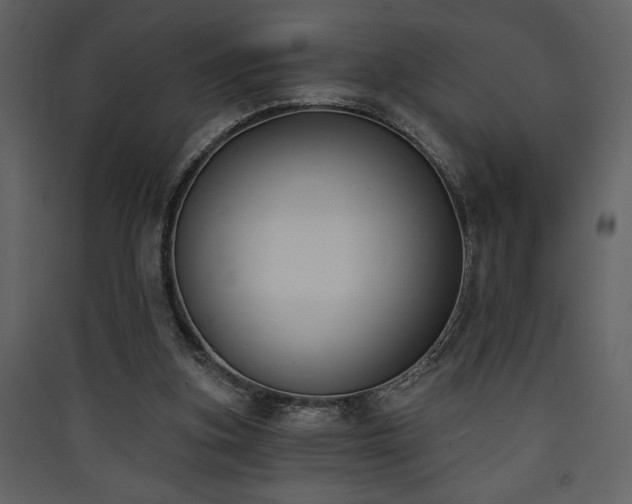X0000090420155200707131216