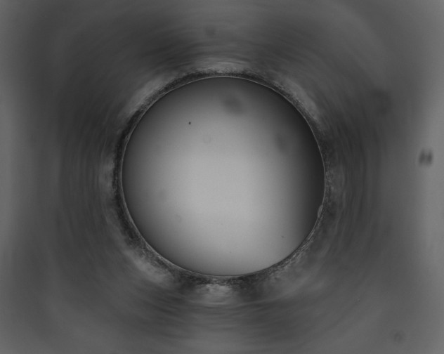 X0000090420159200707131216