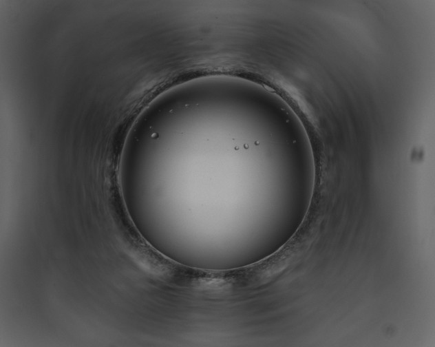 X0000090420161200707131216