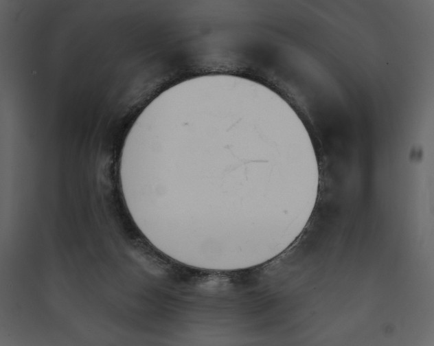 X0000090420162200707131216