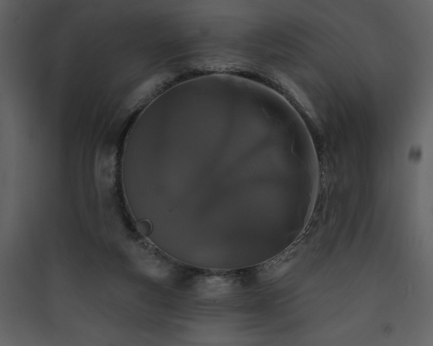 X0000090420163200707131216