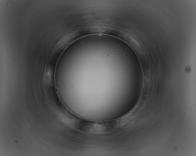 X0000090420166200707131216