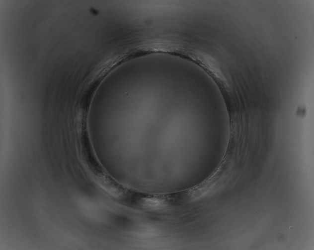 X0000090420167200707131216