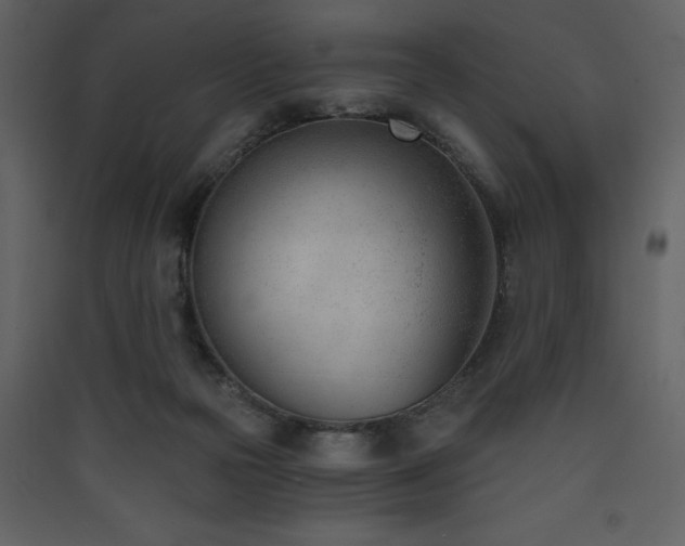 X0000090420169200707131216
