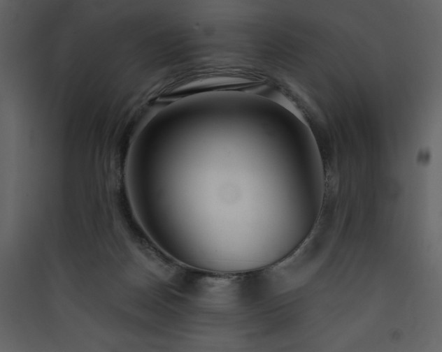 X0000090420170200707131216