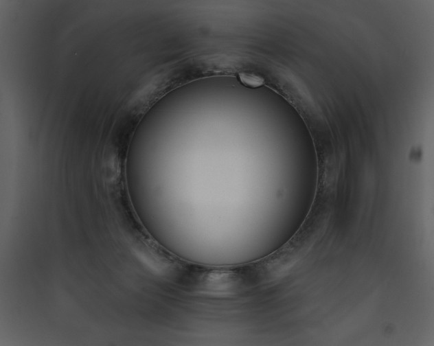 X0000090420173200707131216