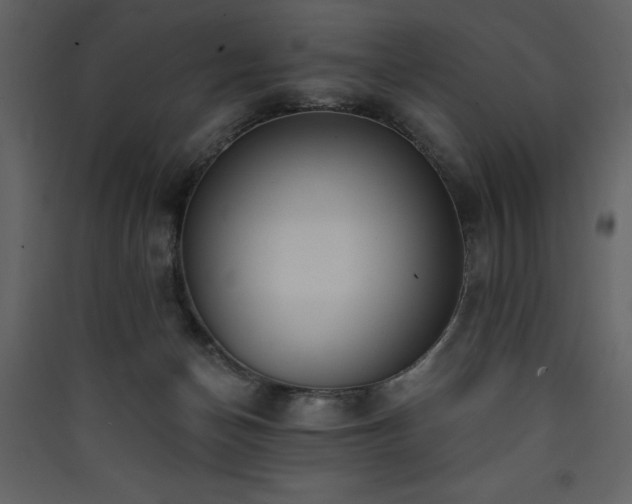 X0000090420174200707131216