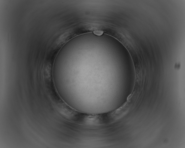 X0000090420175200707131216
