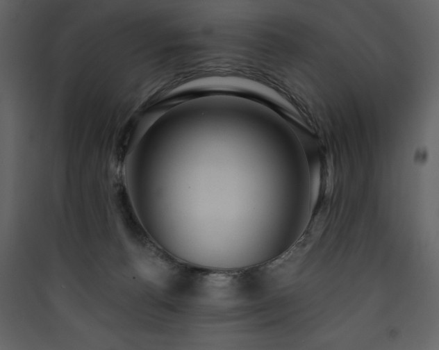 X0000090420176200707131216