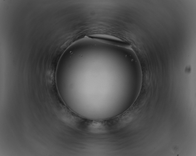 X0000090420177200707131216