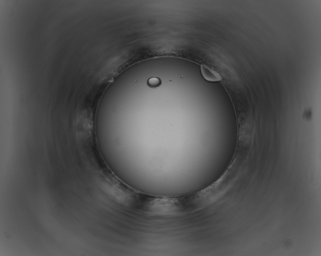 X0000090420179200707131216