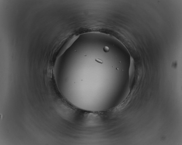 X0000090420180200707131216