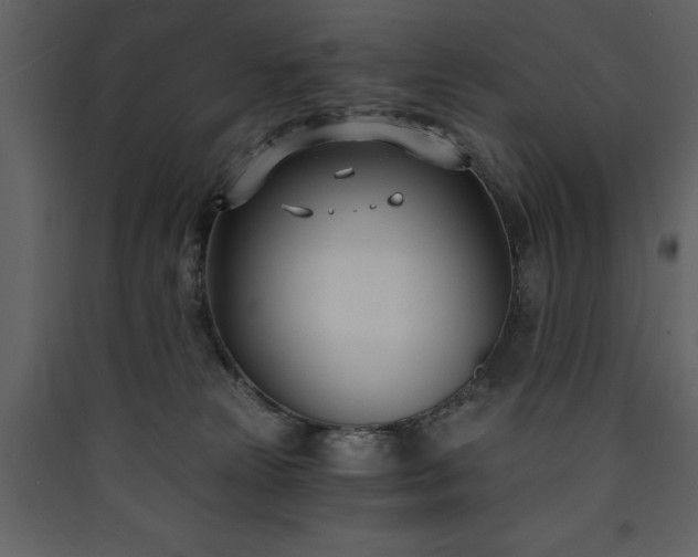 X0000090420181200707131216