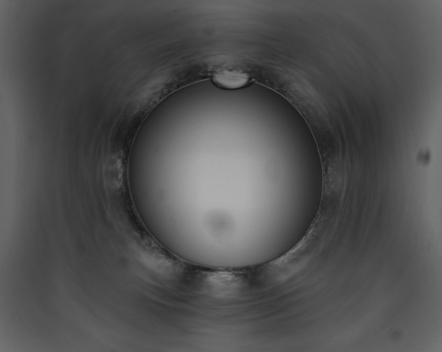 X0000090420183200707131216