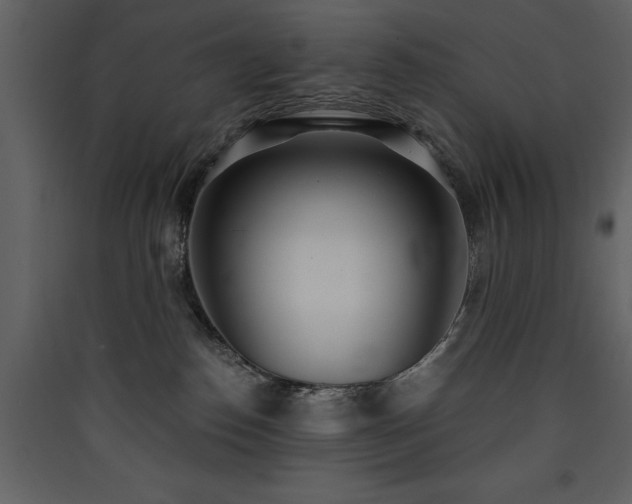 X0000090420186200707131216