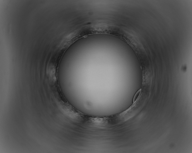 X0000090420187200707131216