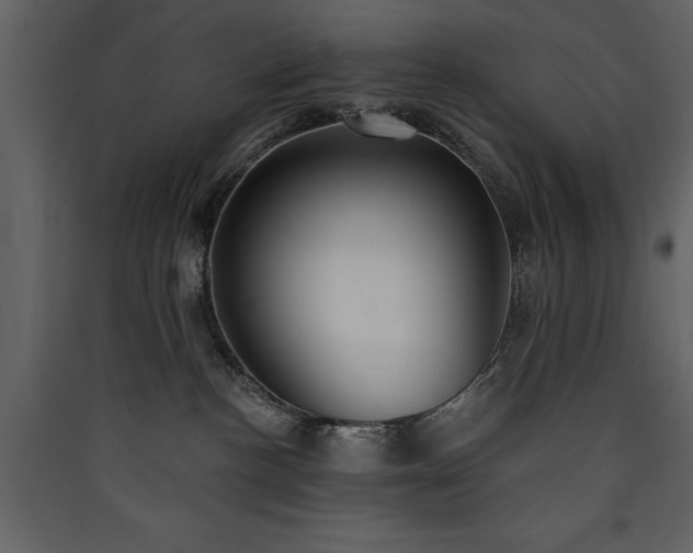X0000090420188200707131216