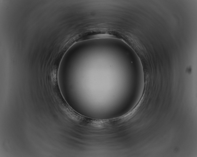 X0000090420190200707131216