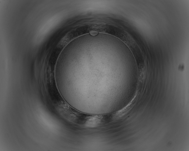 X0000090420191200707131216