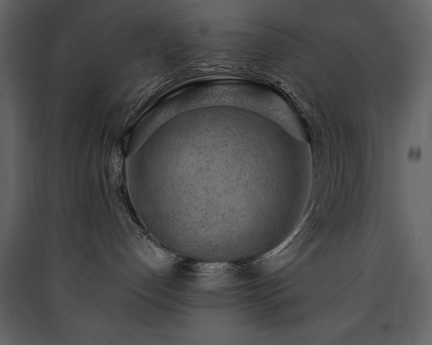 X0000090420192200707131216