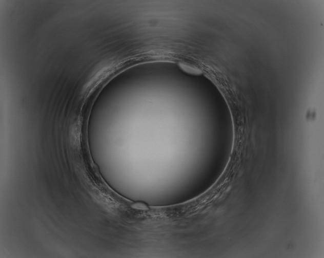 X0000090420194200707131215