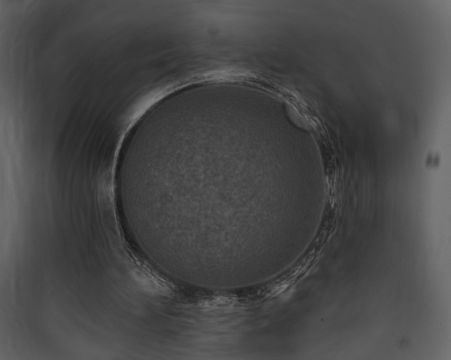 X0000090420196200707131215