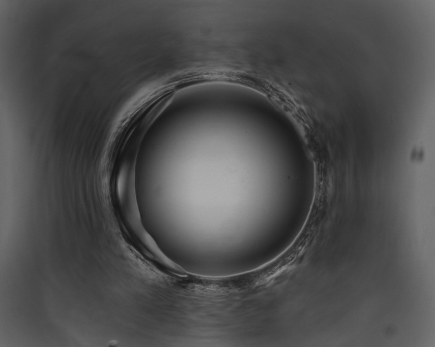 X0000090420197200707131215