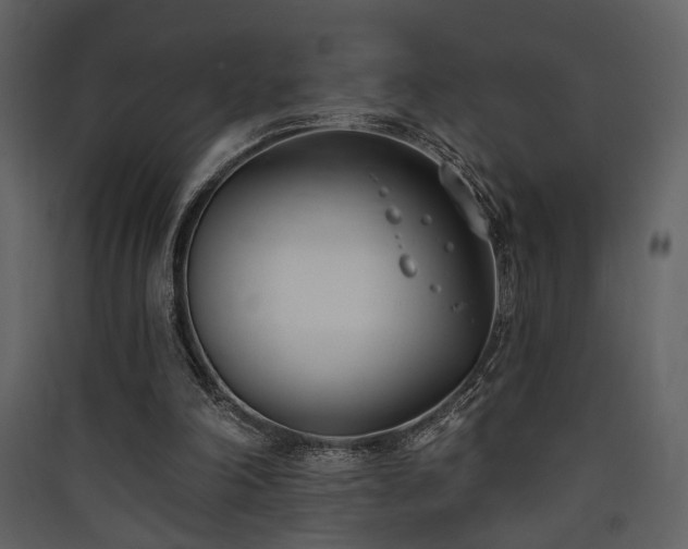 X0000090420198200707131215