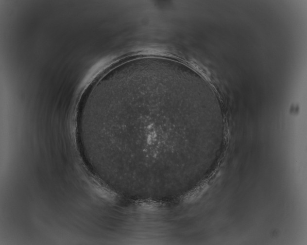 X0000090420199200707131215