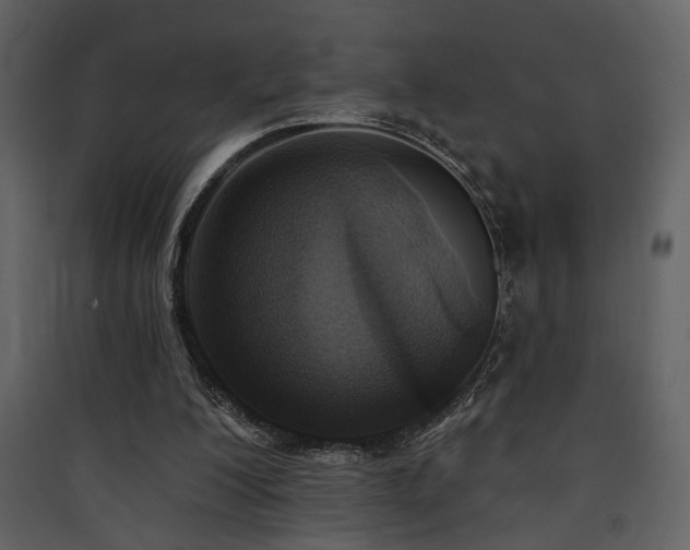 X0000090420200200707131215