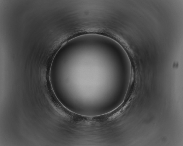 X0000090420201200707131215