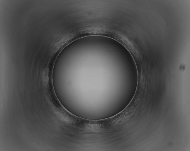 X0000090420202200707131215
