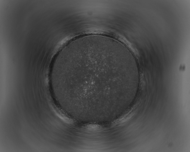 X0000090420203200707131215