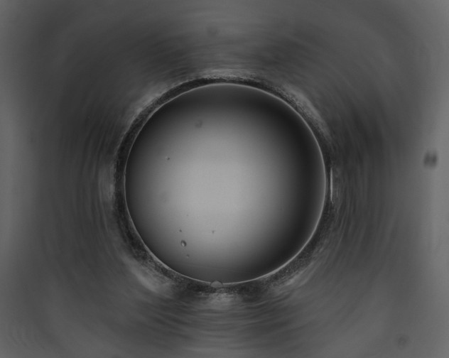 X0000090420204200707131215