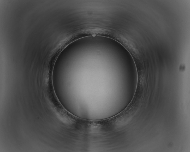 X0000090420206200707131215
