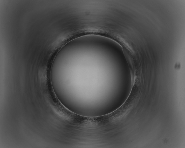 X0000090420207200707131215