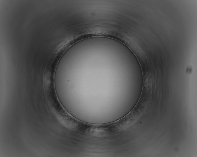 X0000090420208200707131215