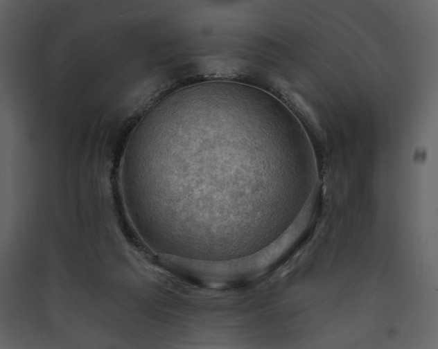 X0000090420209200707131215