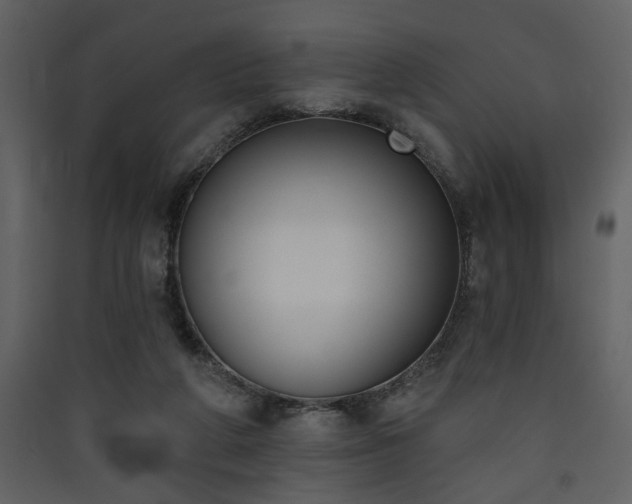 X0000090420210200707131215