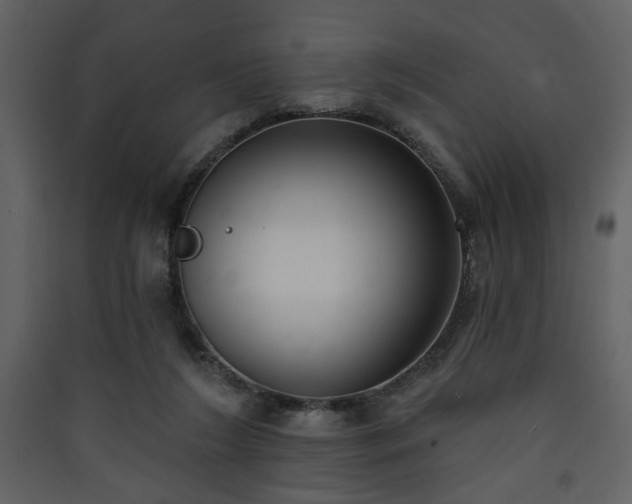 X0000090420212200707131215