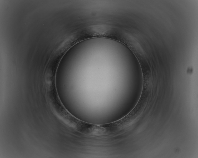 X0000090420215200707131215