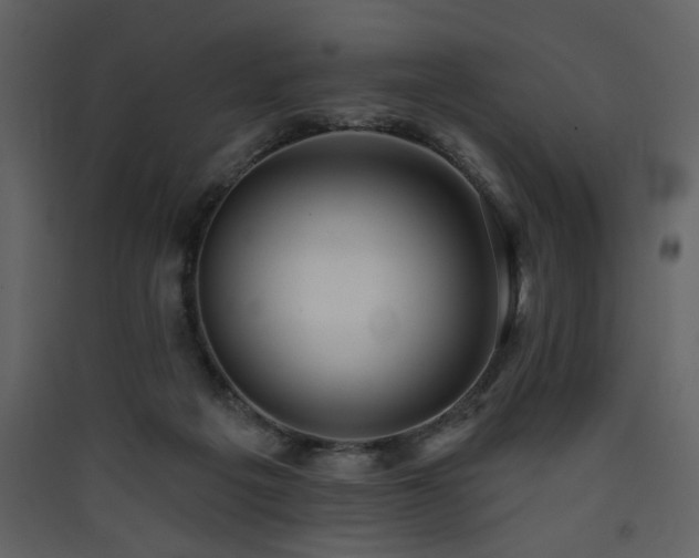 X0000090420217200707131215