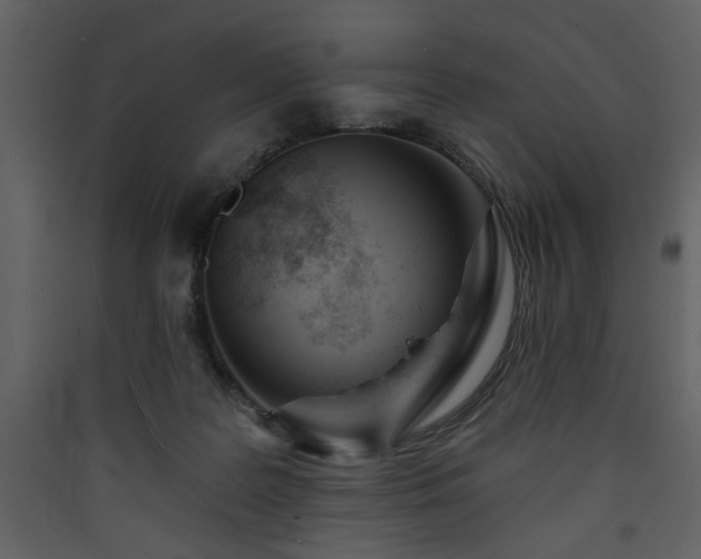 X0000090420219200707131215