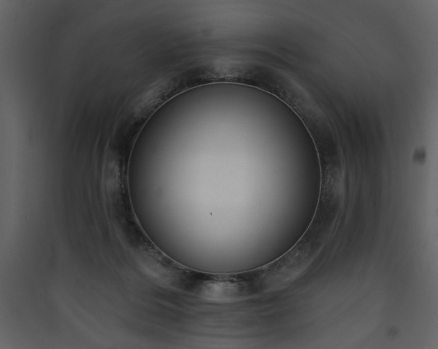 X0000090420220200707131215