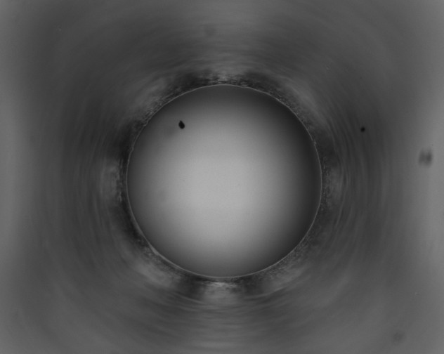 X0000090420222200707131215