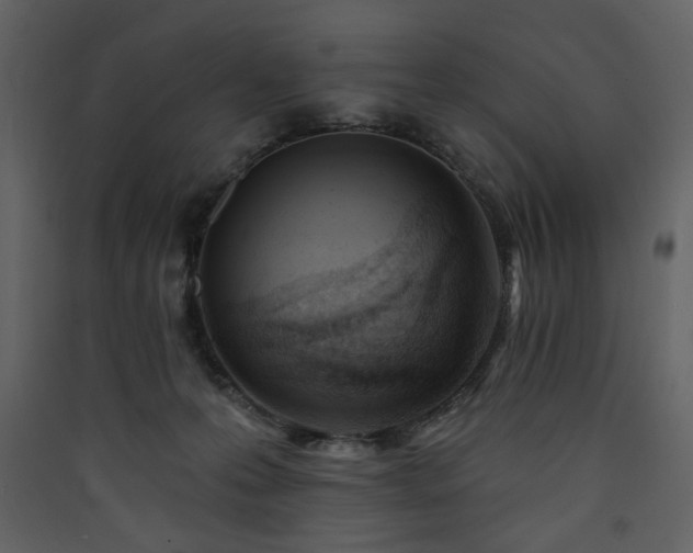 X0000090420223200707131215