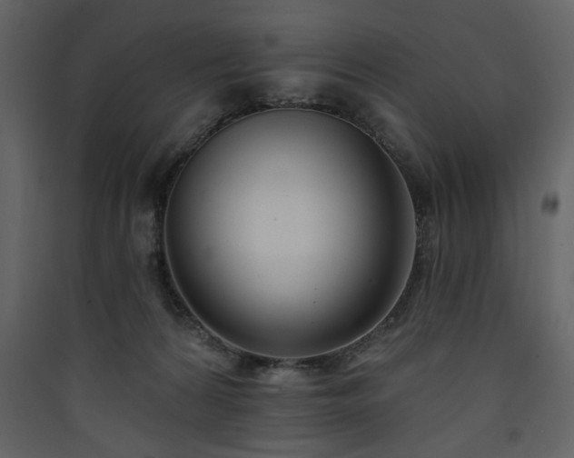 X0000090420224200707131215